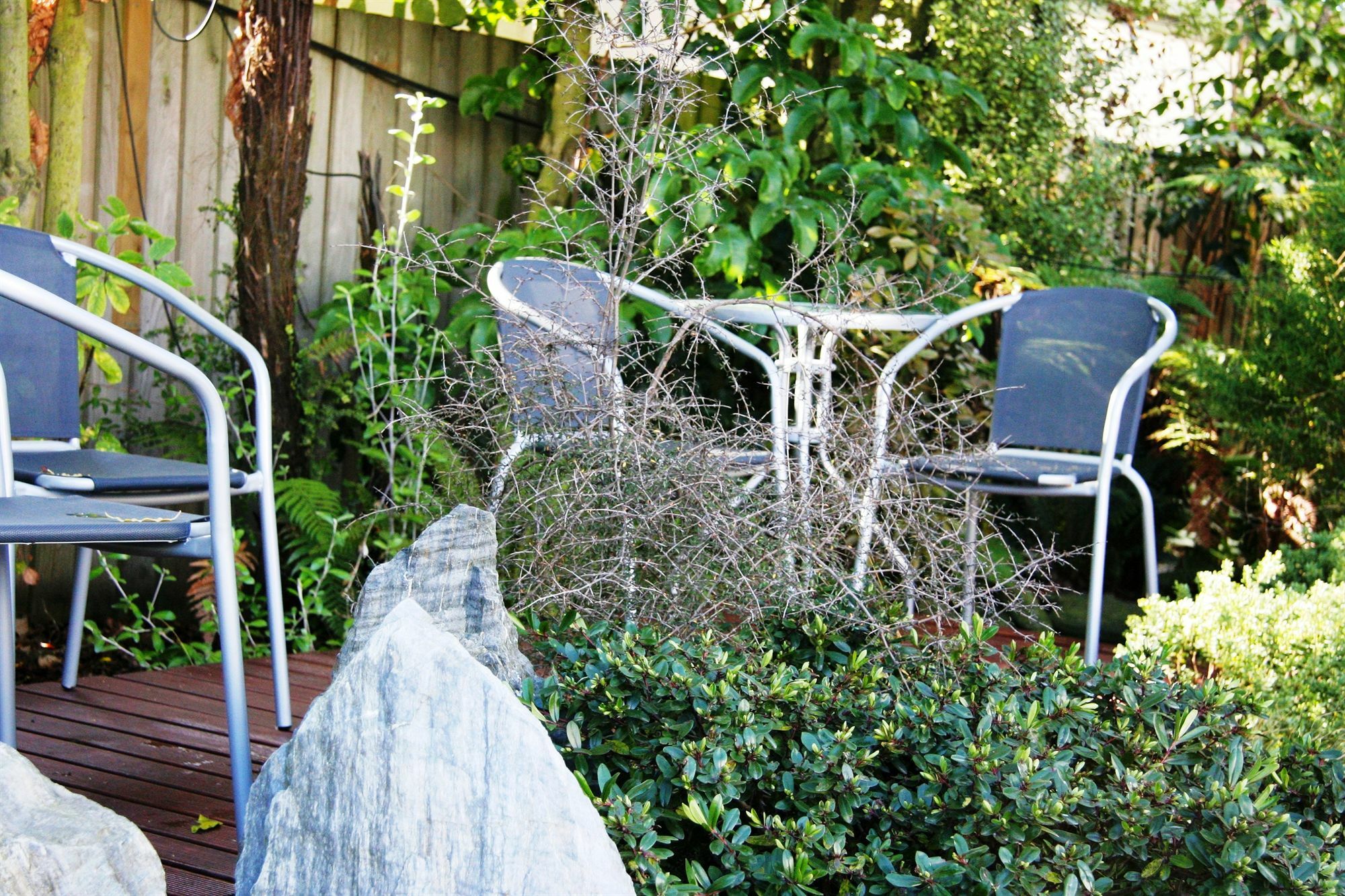 Sherborne Motor Lodge Christchurch Esterno foto